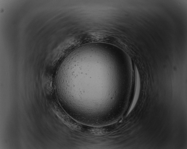 X0000051870615200507020007