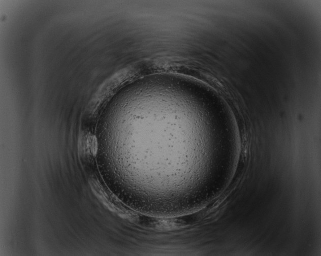 X0000051870623200507020007