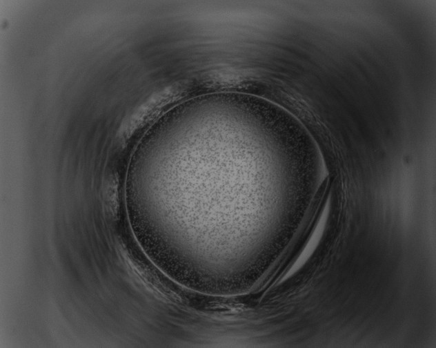 X0000051870642200507020006