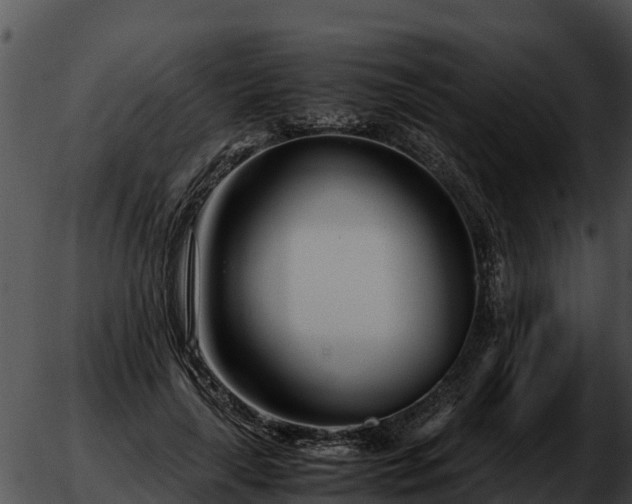 X0000051870643200507020006