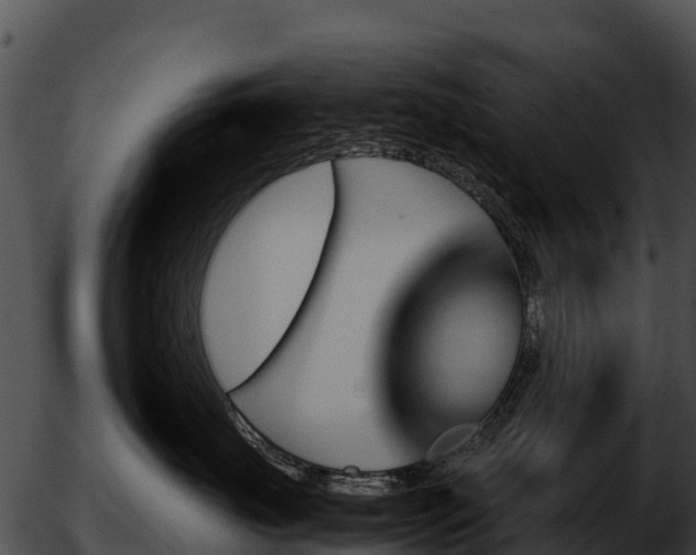 X0000051870671200507020007