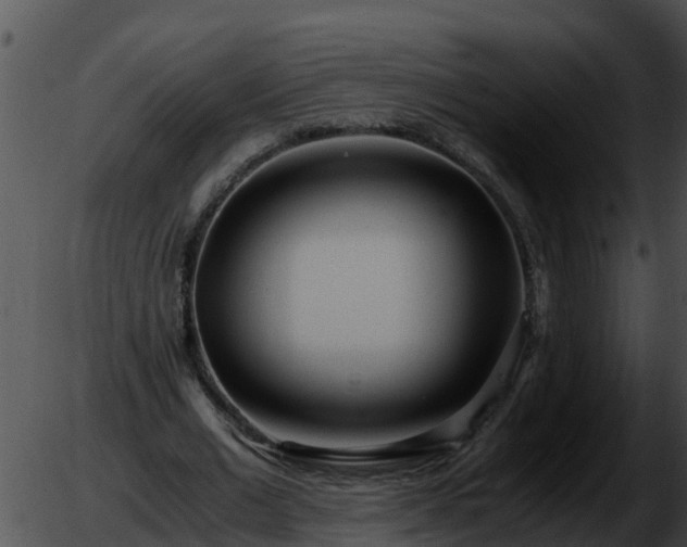 X0000051870677200507020006
