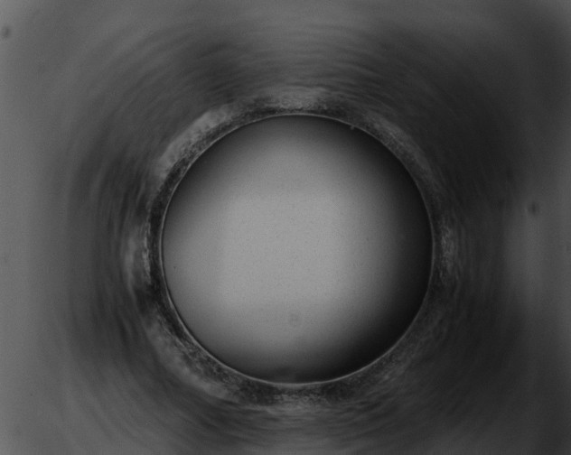 X0000051870682200507020006