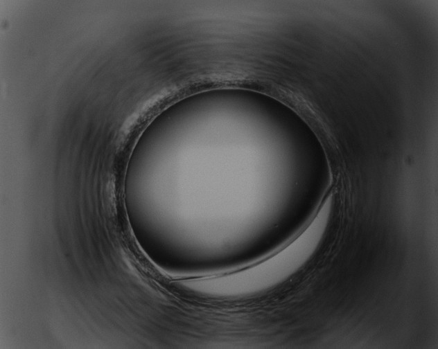X0000051870684200507020006