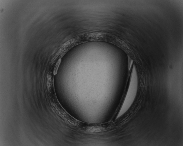 X0000051870708200507020006