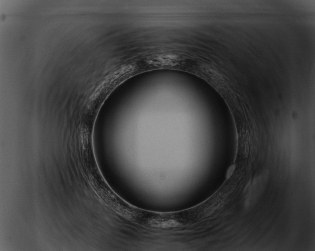 X0000051870747200507020005