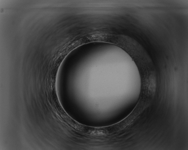 X0000051870751200507020005