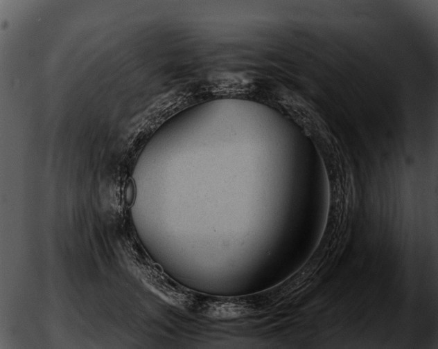 X0000051870755200507020005