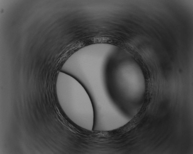 X0000051870761200507020005