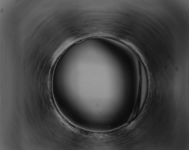 X0000051870910200507020002