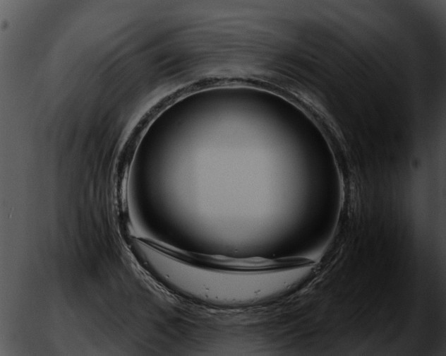 X0000051870976200507020001