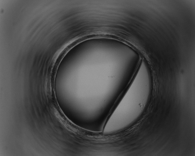 X0000051870980200507020001