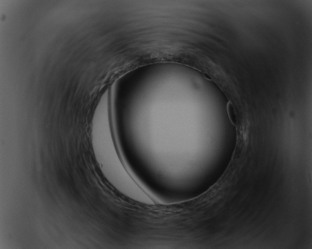 X0000051871012200507020000