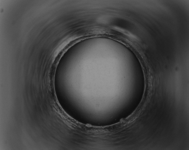 X0000051871023200507020000