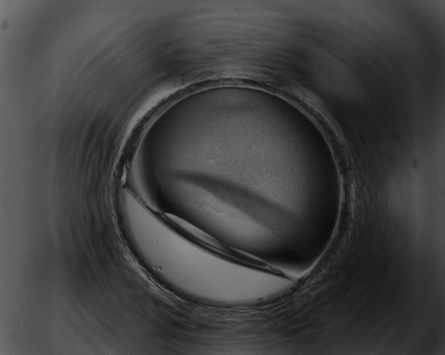 X0000051871024200507020000