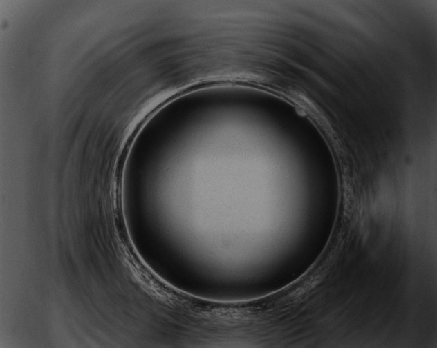 X0000051871044200507020000