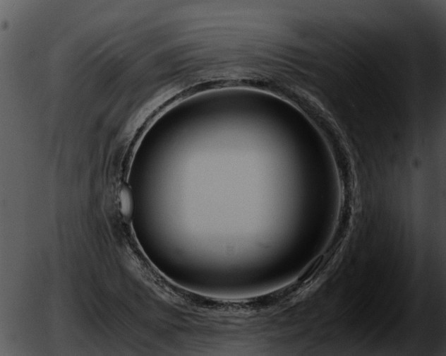 X0000051871073200507020000