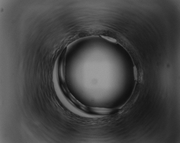 X0000051871108200507012358