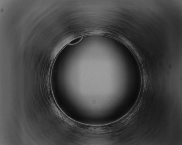 X0000051871194200507012358