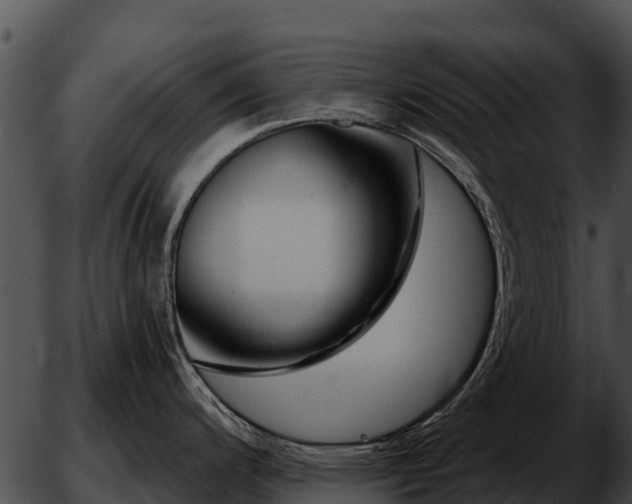 X0000051871200200507012358