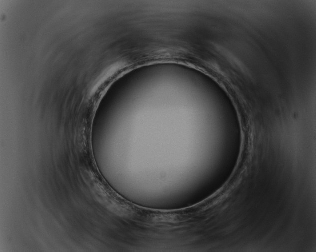 X0000051871211200507012357