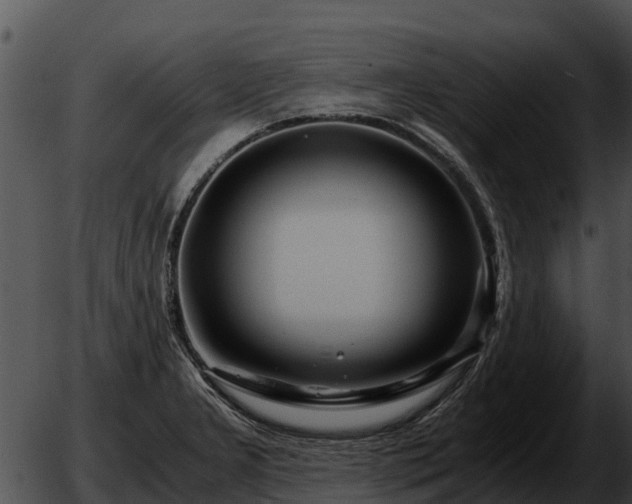 X0000051871277200507012356
