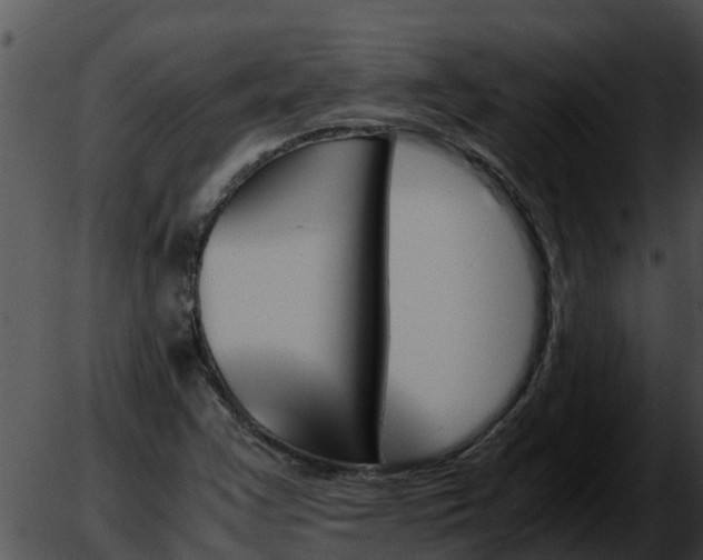 X0000051871355200507012355