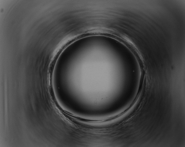 X0000051871376200507012355