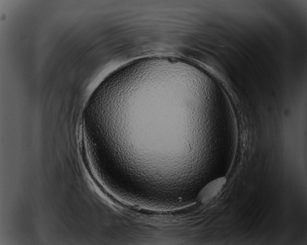 X0000051871383200507012355