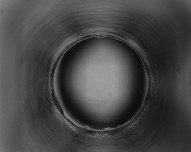 X0000051871384200507012355