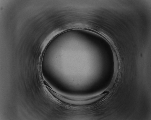 X0000051871392200507012354
