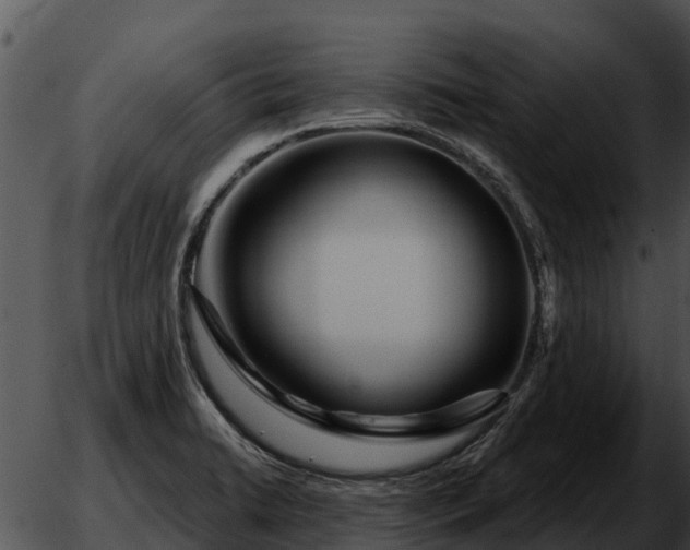 X0000051871422200507012354