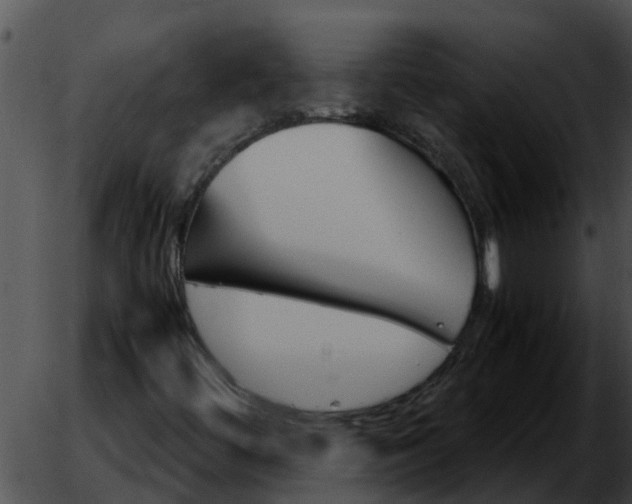 X0000051871444200507012354