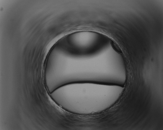 X0000051871527200507012353
