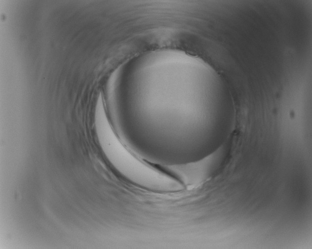 X0000051870039200507081859