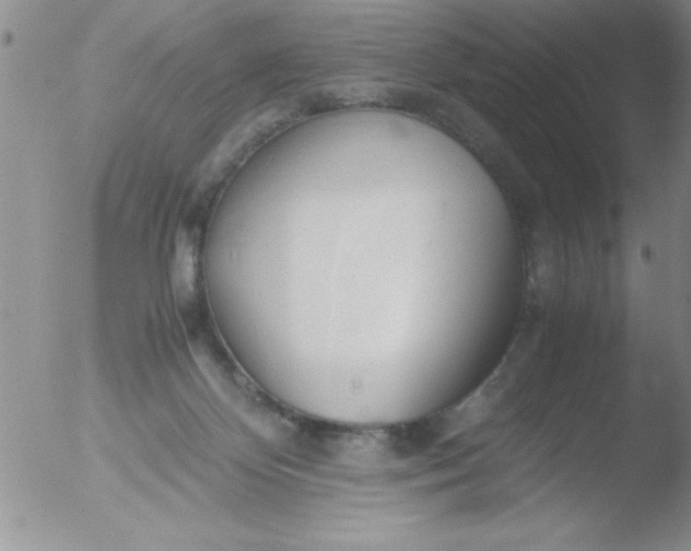 X0000051870124200507081858