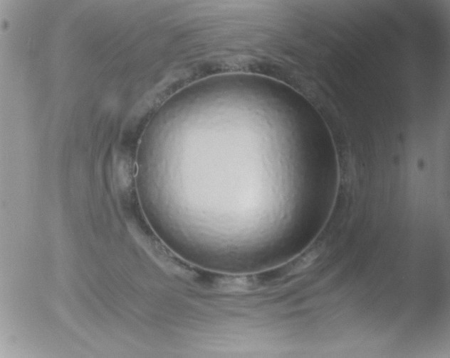 X0000051870131200507081857
