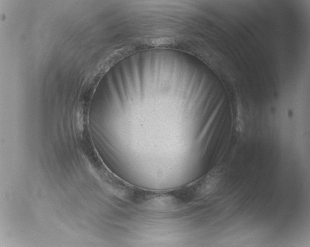 X0000051870210200507081856