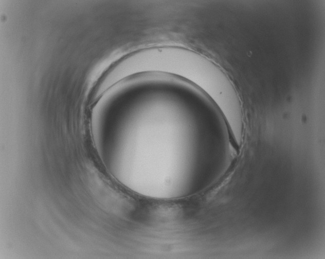 X0000051870248200507081855