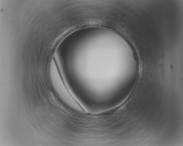 X0000051870249200507081855
