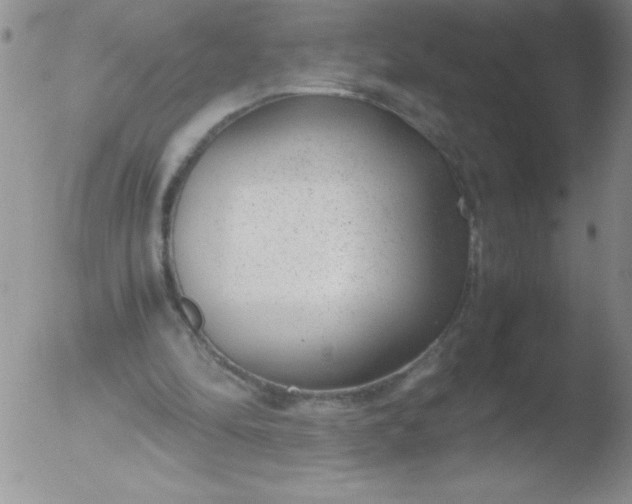 X0000051870294200507081855