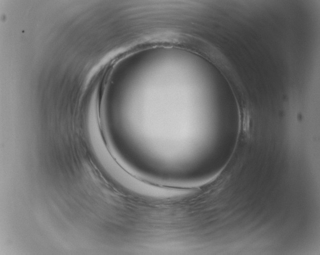 X0000051870388200507081853