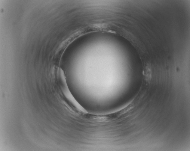 X0000051870428200507081853