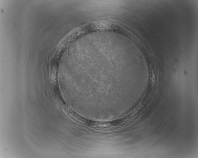 X0000051870507200507081851