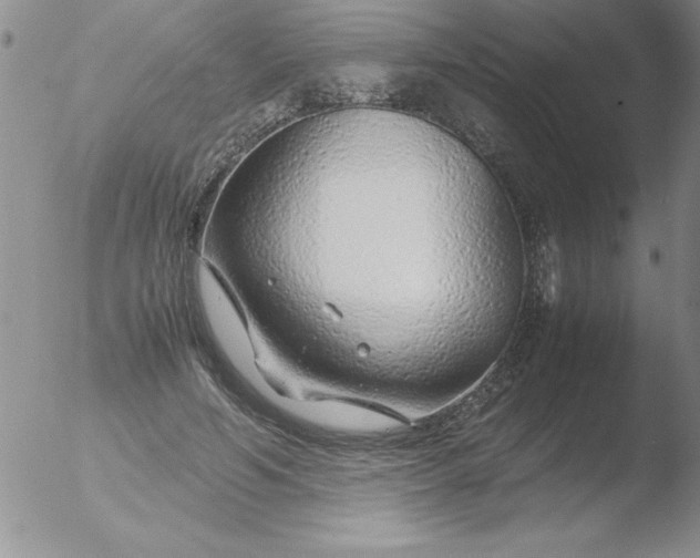X0000051870594200507081850