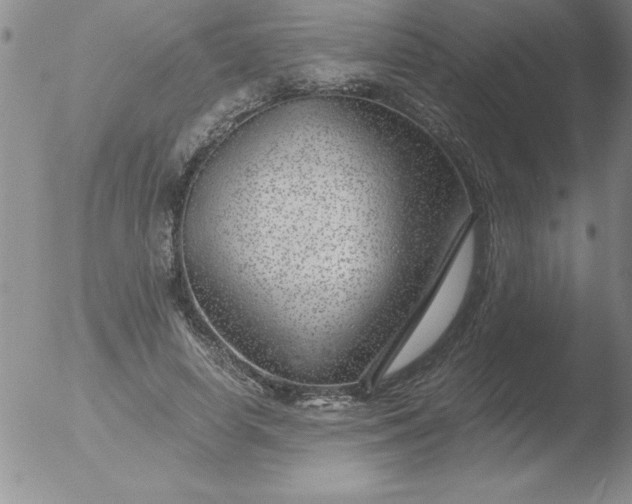 X0000051870642200507081849