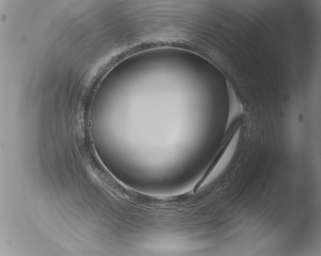 X0000051870680200507081848