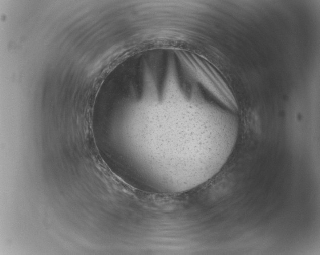 X0000051870774200507081847