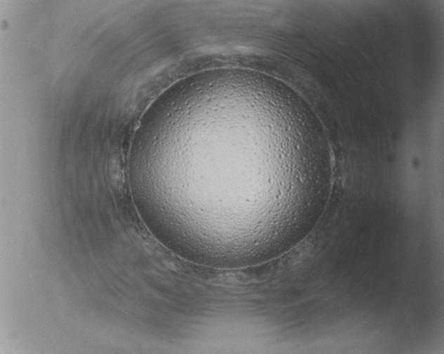 X0000051870966200507081844
