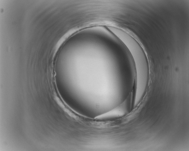 X0000051871005200507081843
